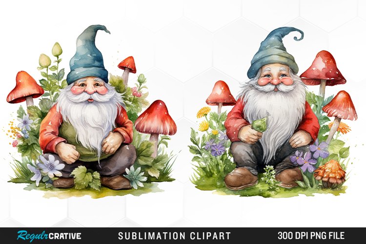 Gnome Illustration Image 14