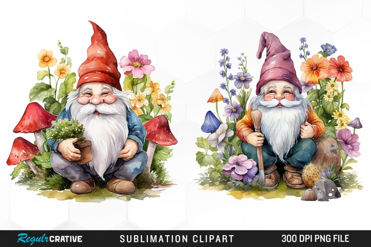 Gnome Illustration Image 8