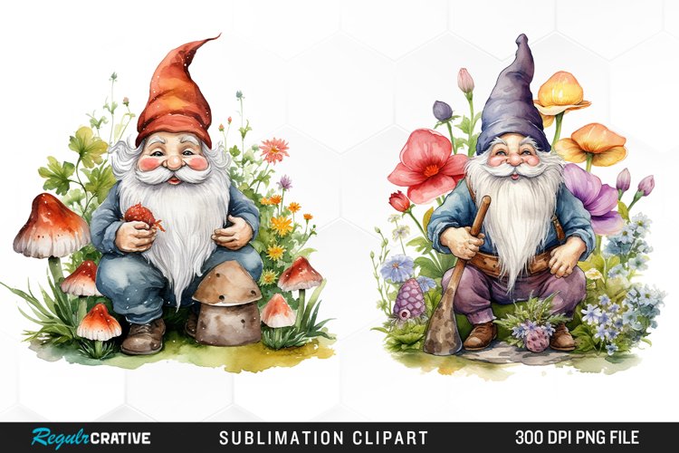 Gnome Illustration Image 9