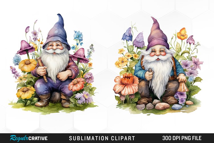 Gnome Illustration Image 12