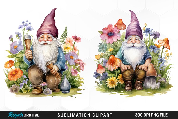 Gnome Illustration Image 10