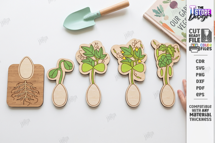 Educational Plant Growth Lifecycle Puzzle Laser Cut | Kids