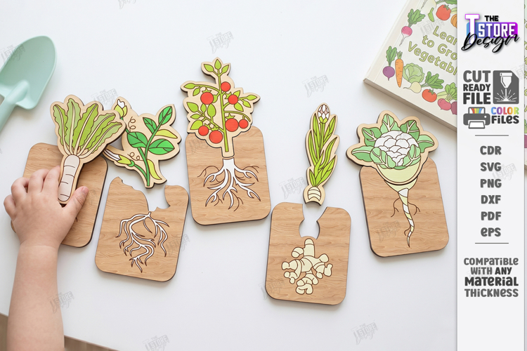 Educational Plant Growth Lifecycle Puzzle Laser Cut | Kids