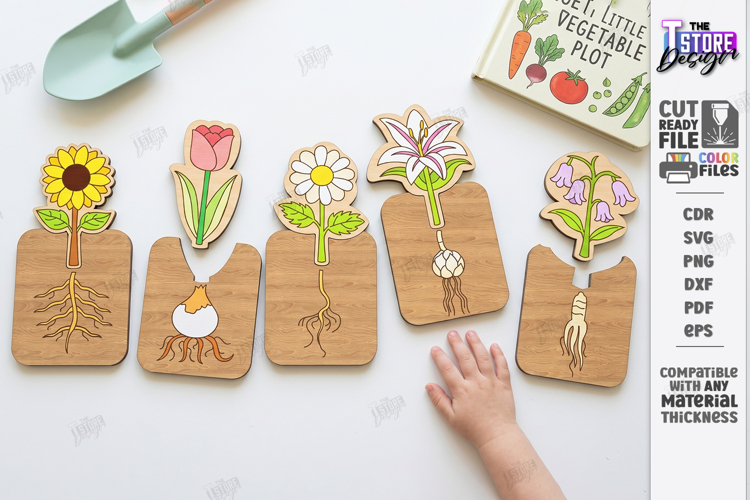 Educational Plant Growth Lifecycle Puzzle Laser Cut | Kids