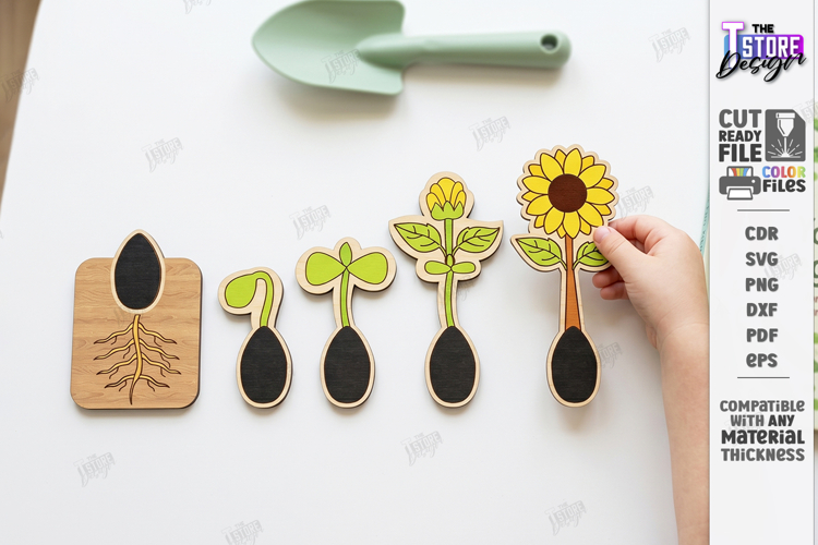 Educational Plant Growth Lifecycle Puzzle Laser Cut | Kids