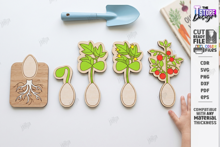 Educational Plant Growth Lifecycle Puzzle Laser Cut | Kids