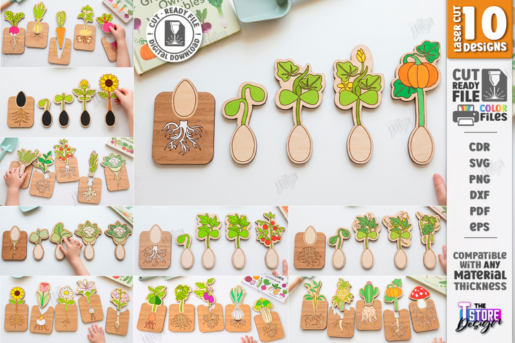 Educational Plant Growth Lifecycle Puzzles Laser Cut Bundle