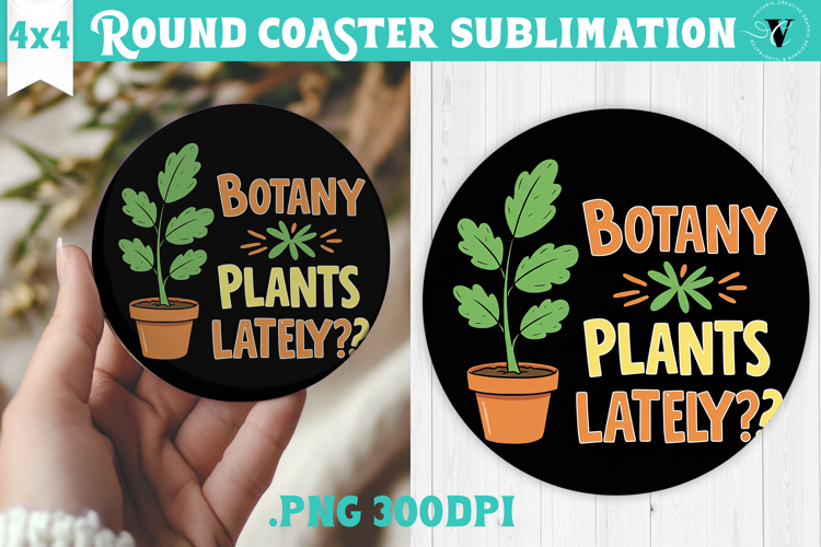 Round Coaster | Garden Design | Gardening