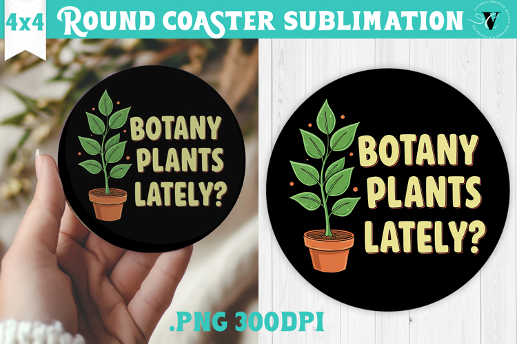 Round Coaster | Garden Design | Gardening