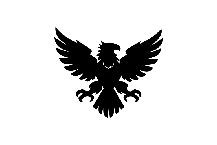 Eagle Symbol Image 8