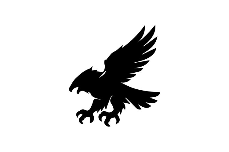 Eagle Symbol Image 6