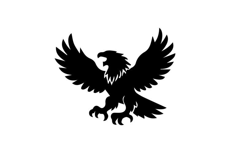 Eagle Symbol Image 4