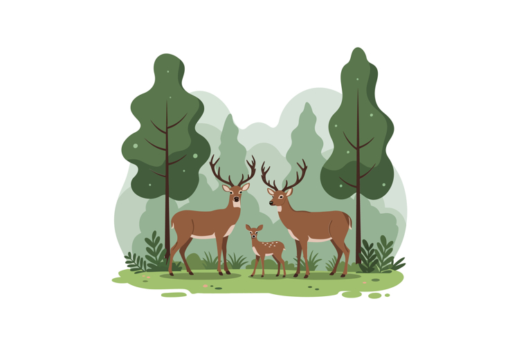 Fawn Clipart Image 20