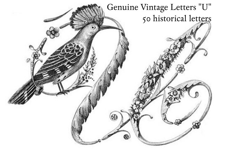 Vintage Clipart Image 8