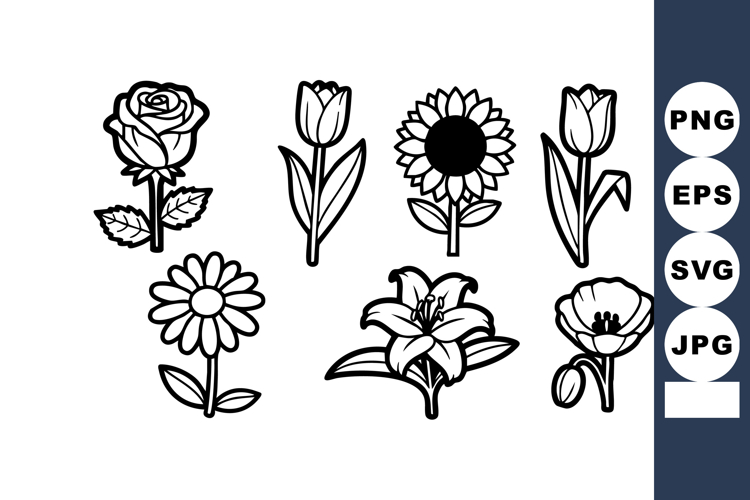 Rose Clipart Image 19
