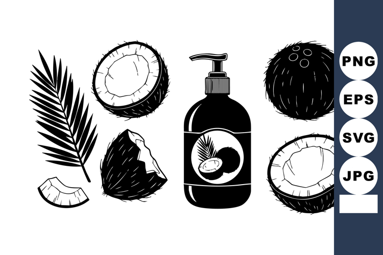 Coconut Illustration Image 8
