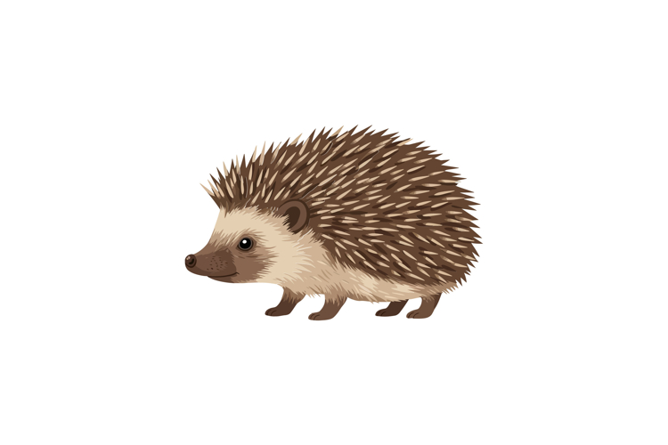 Quill Clipart Image 15