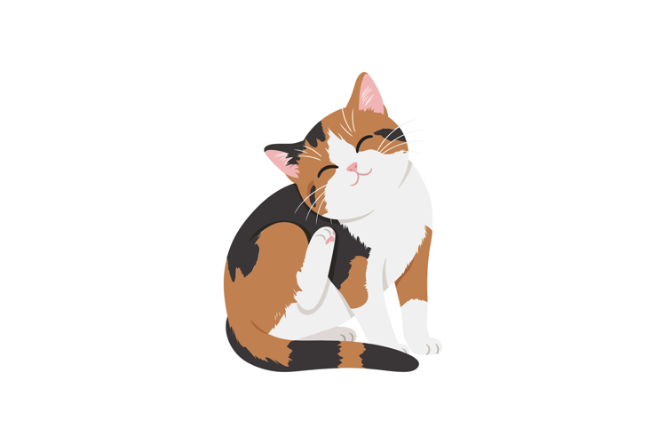 Playful calico cat grooming itself in a cheerful flat vector