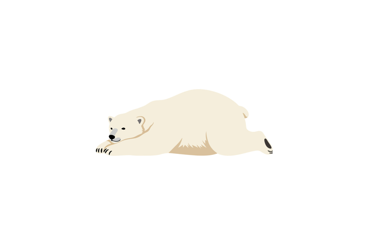 Bear Clipart Image 19