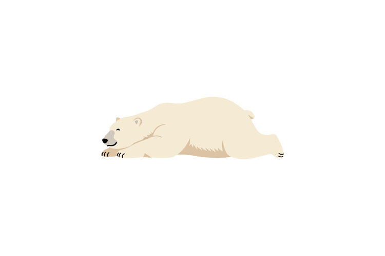 Bear Clipart Image 18