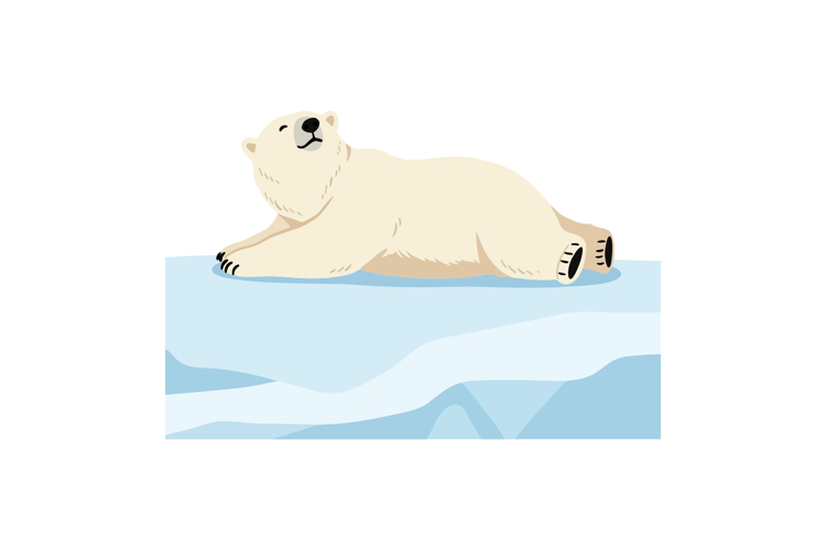 Polar Bear Illustration