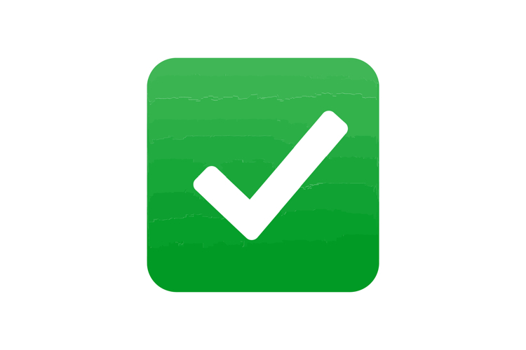 Approval Icon Image 2