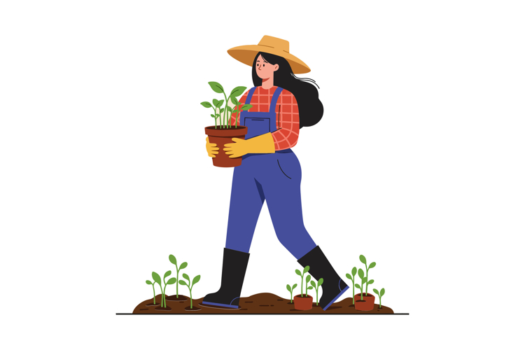 Seedling Clipart Image 13