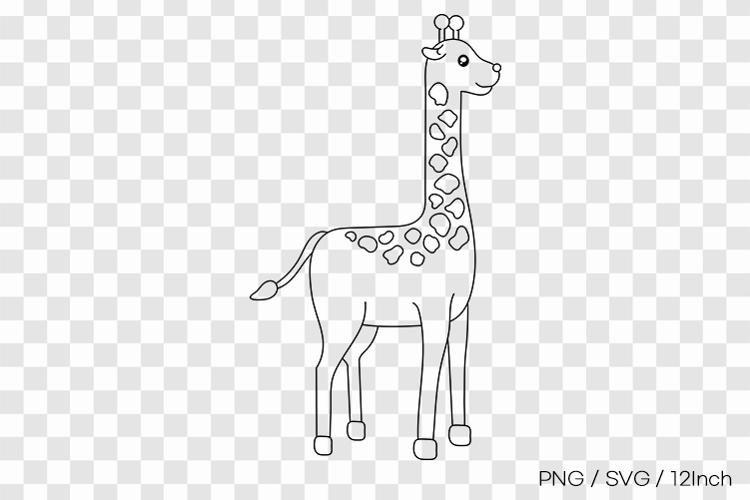 Neck Clipart Image 13