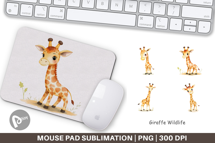 Giraffe Png Image 11