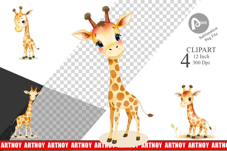 Giraffe Png Image 16