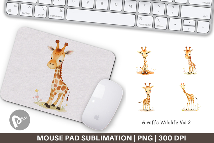 Giraffe Png Image 12