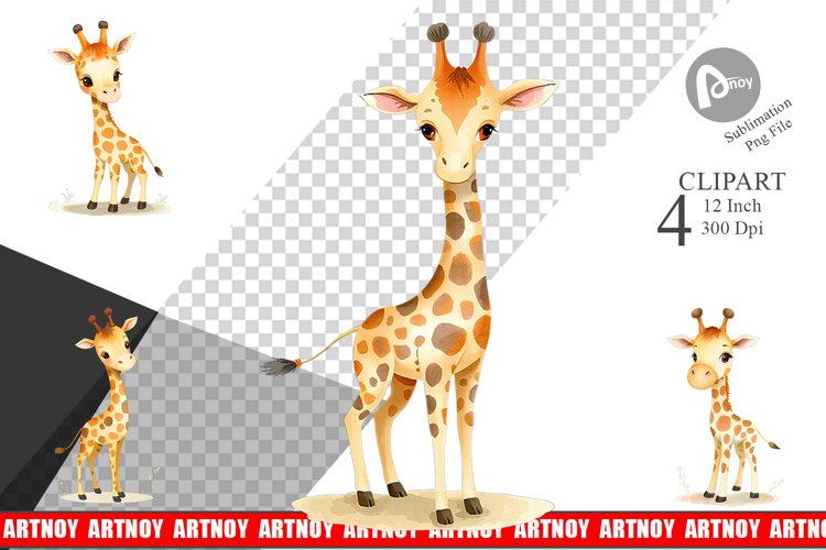 Giraffe Png Image 6