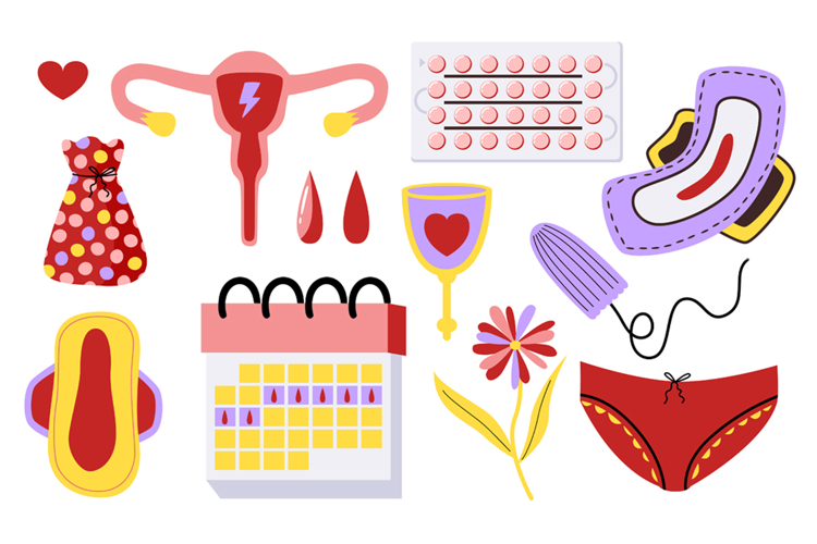 Menstrual Cycle & Womens Health Wellnes Period