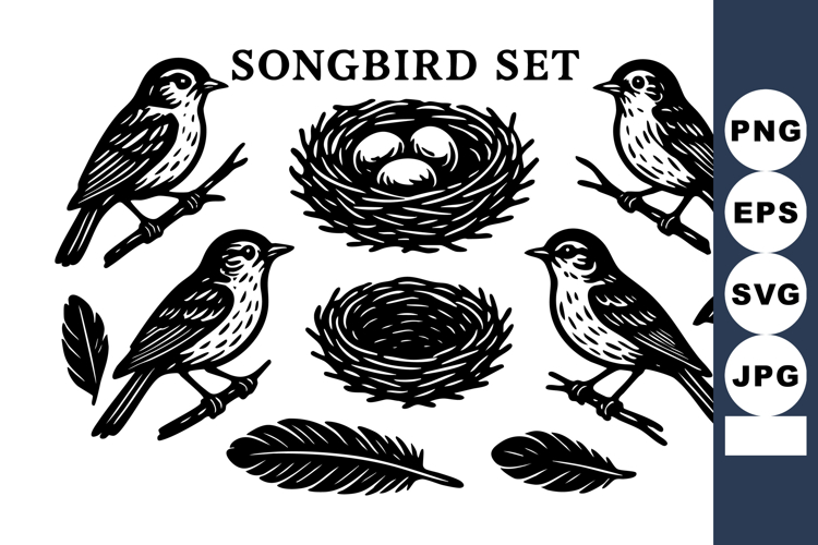 Songbird with birds nest eggs feathers and small perching b