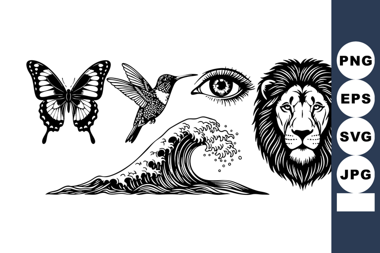 Hummingbird Vector Image 14