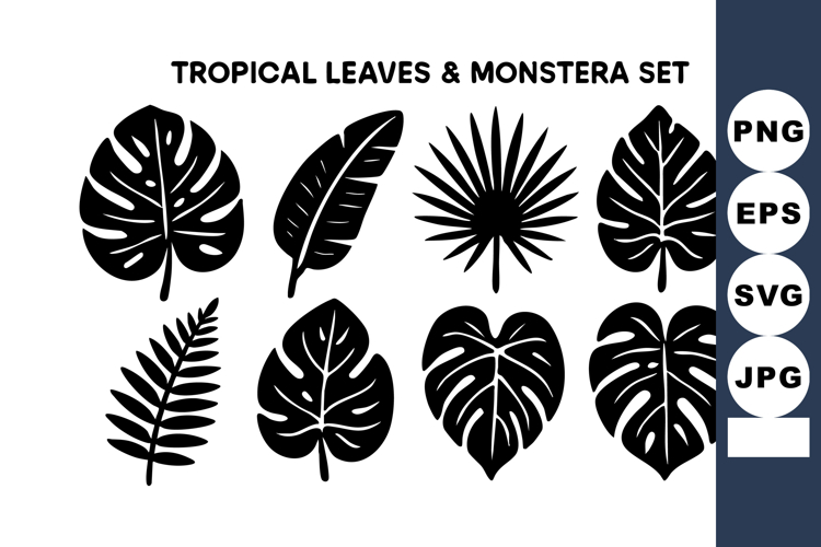 Tropical Leaf Vector Image 2