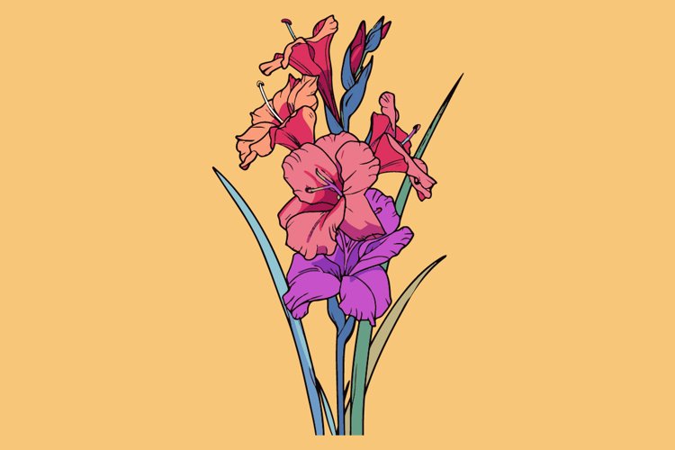 Gladiolus example image 1
