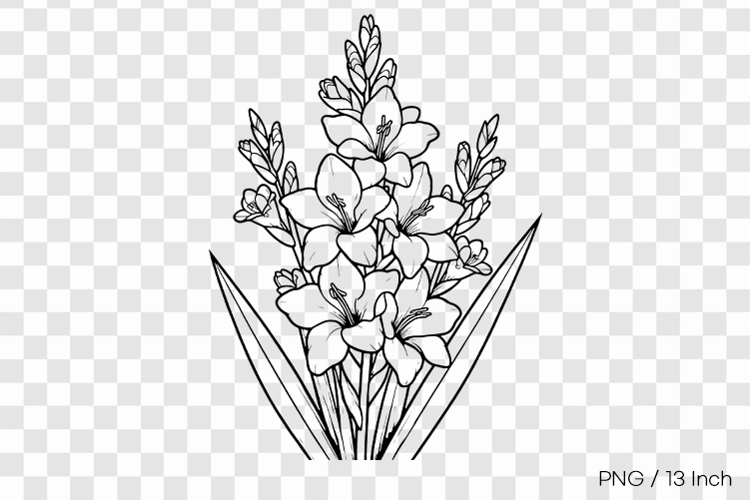 Flower Drawing Png