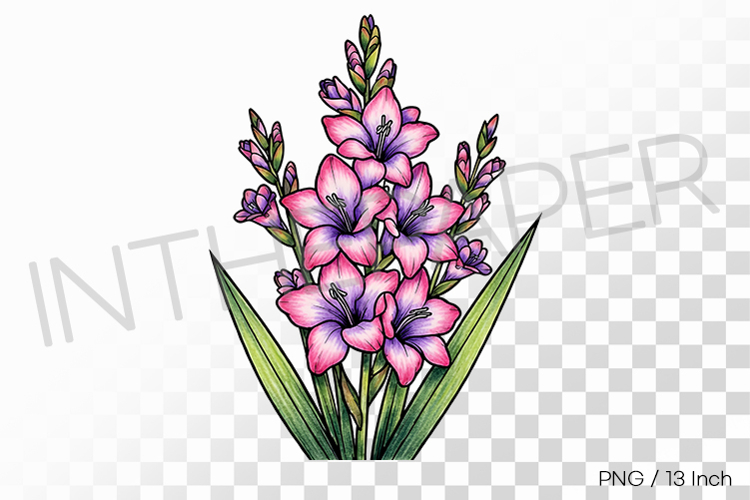 Pen Illustration Image 18