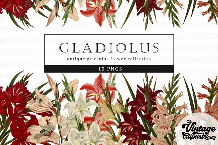 Gladious Vintage Floral Botanical Clip Art