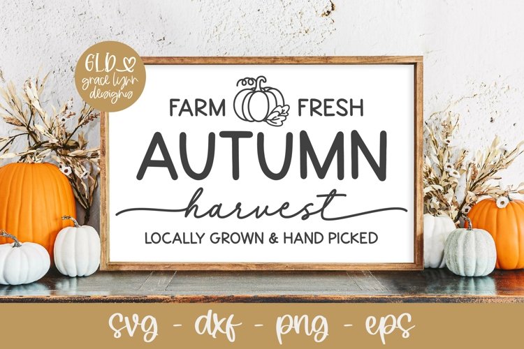Farm Fresh Autumn Harvest | Autumn SVG | Pumpkin Patch SVG example image 1