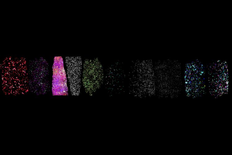 Shape Clipart Image 11