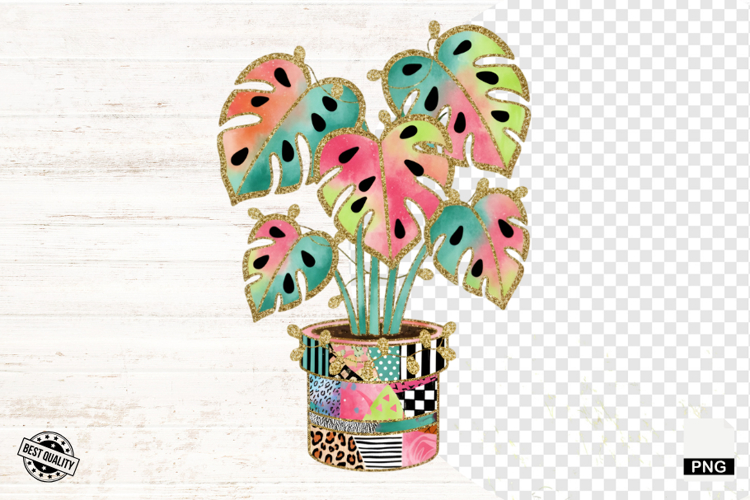 Plant Png Image 10