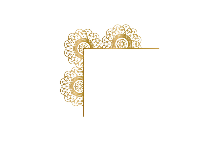 Ornament Vector Image 14