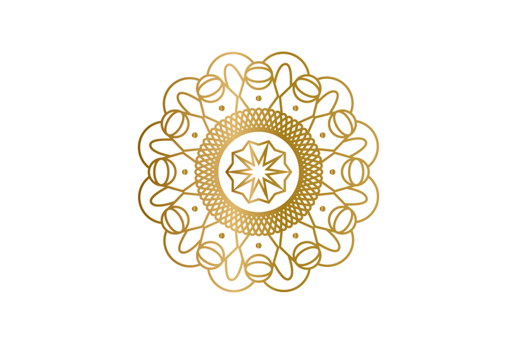 Ornament Vector Image 10
