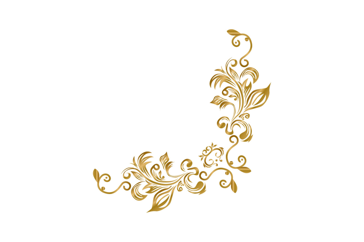Ornament Vector Image 9