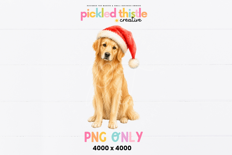 Watercolor-style PNG featuring a golden retriever with detailed golden fur, dark brown eyes and a bright red Christmas hat.