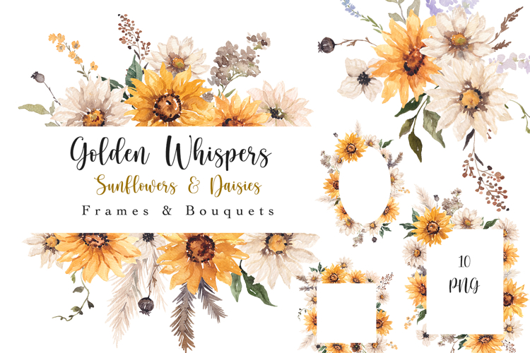 Daisies Png Image 3