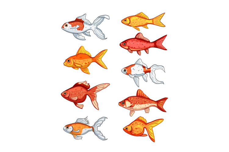 goldfish set cartoon