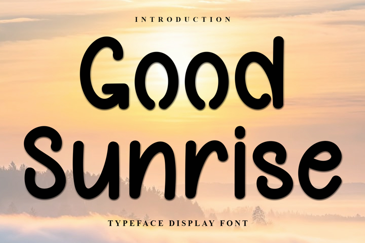 Business Fonts Image 5